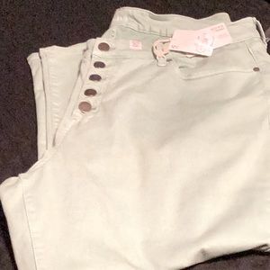 Size 20W HIGH RISE ANKLE SKINNY by a.n.a. A new approach.